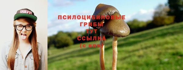 гашишное масло Ладушкин