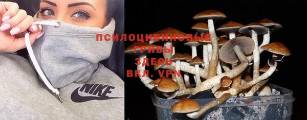 бошки Кулебаки
