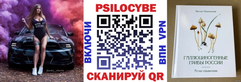 купить наркоту  Кувшиново  Псилоцибиновые грибы Psilocybine cubensis 